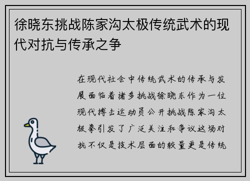 徐晓东挑战陈家沟太极传统武术的现代对抗与传承之争